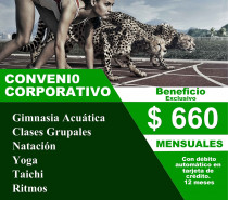 Novedades 2018: Ergo Club Gimnasios